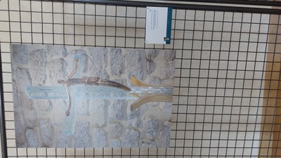 26-06-2023 - Marie Q (13).jpg