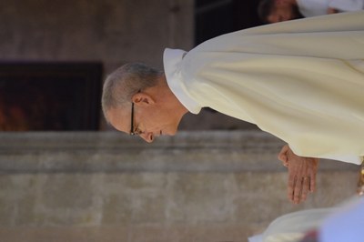 Ordination disconale (96)