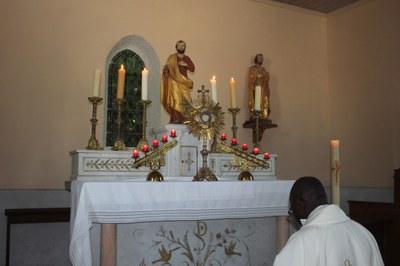 IMG 0092