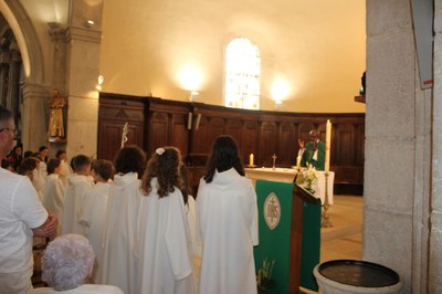 IMG 0239