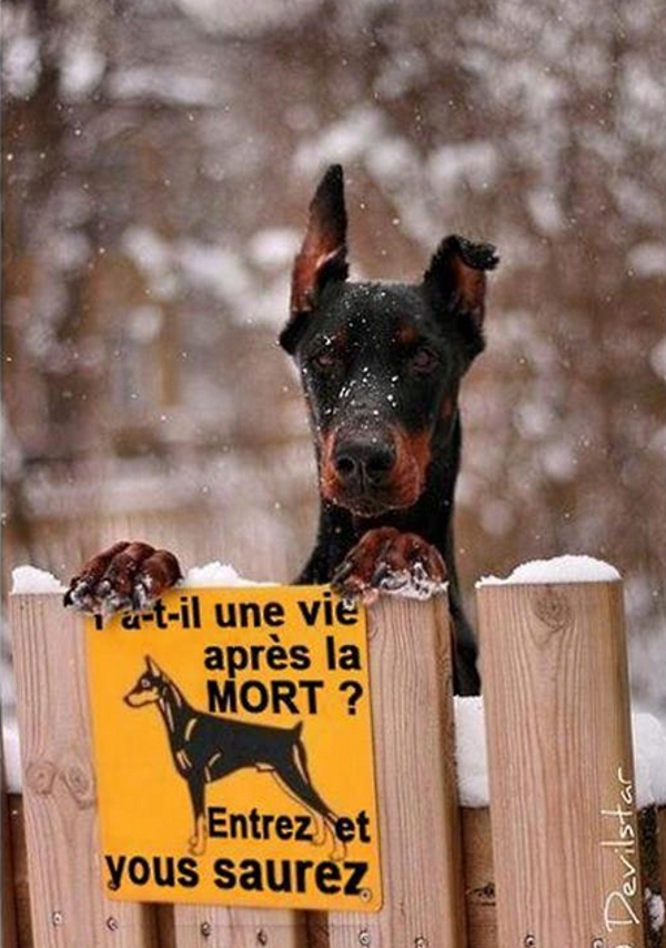 ob 44033d humour blog 1