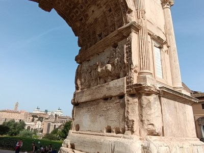 arctitus2