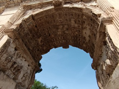 arctitus5