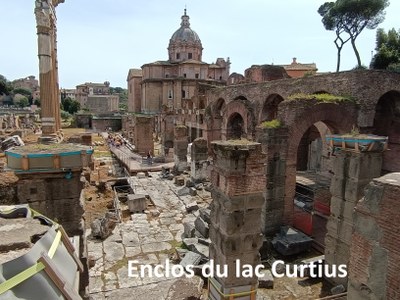 laccurtius